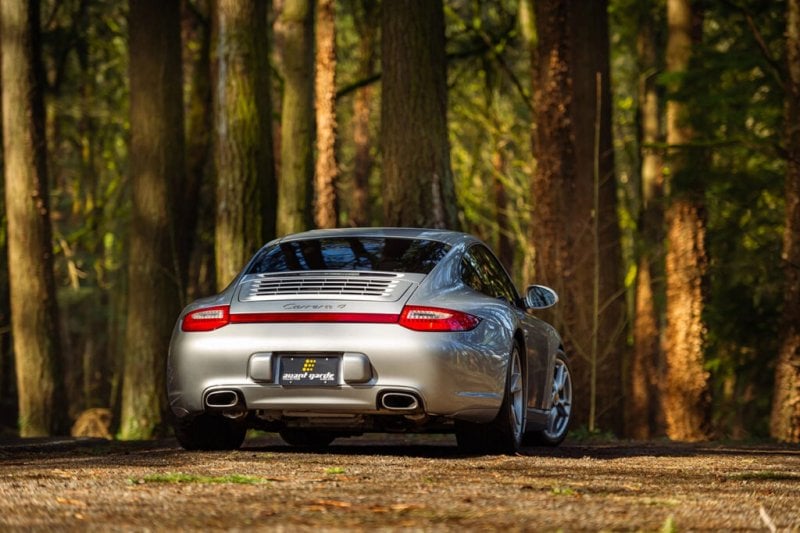 silver Porsche in the woods